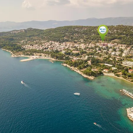 Cvita Split